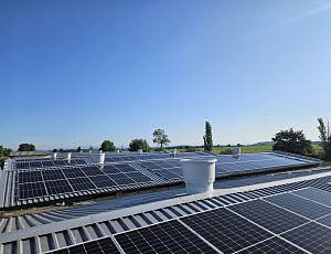 Výměna střešní krytiny na hale výkrmu prasat